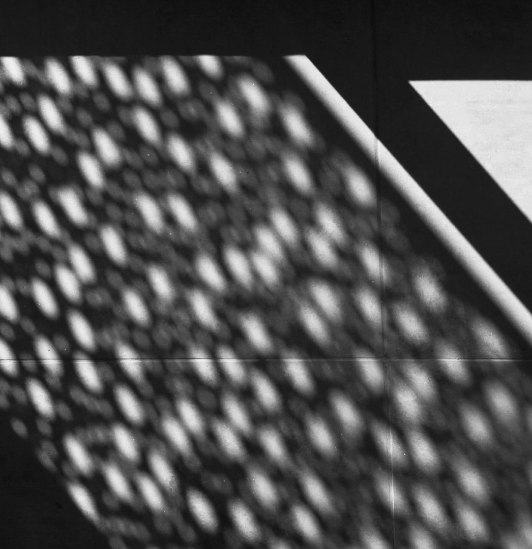 barbalaco-arquitectos-directorio barbalaco arquitectos obra directorio arquitectura detalle